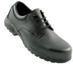 Safety Shoes and Trainers